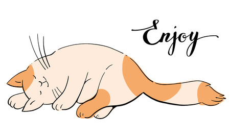 Sleeping cat  isolated on a white background. Hand-drawn illustration. Vector.のイラスト素材