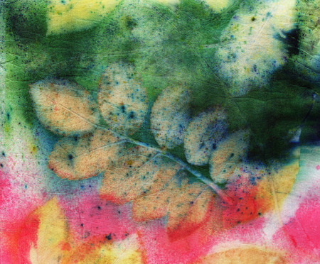 Botanical print with leaf prints on natural silk. Hand-drawn illustration.の写真素材