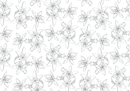 Black and white seamless pattern with flowers. Tiger lilies.  Hand-drawn illustration.の写真素材