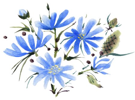 Watercolor  flowers isolated on a white background. Hand-drawn illustration.の写真素材