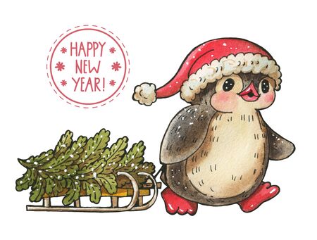 Winter illustration with funny cartoon penguin with a Christmas tree on a sled,  isolated on a white background. Drawing in watercolor and ink. の写真素材