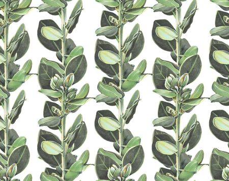 Seamless pattern with eucalyptus branches. Drawing with alcohol markers.の写真素材