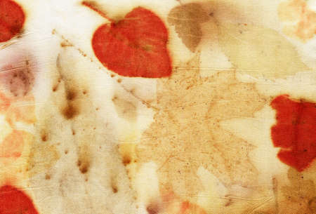Botanical print with leaf prints on natural silk. Hand-drawn illustration.の写真素材