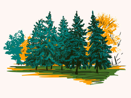 Autumn landscape with coniferous forest. Hand-drawn illustration. Vector.のイラスト素材