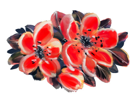 Watercolor flowers isolated on a white background. hand-drawn illustration.の写真素材