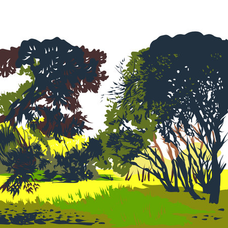 summer landscape. park. Evening. vector illustration.のイラスト素材