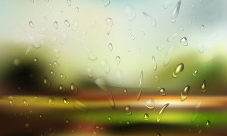 Forest landscape. Glass with raindrops. Gradient Mesh, vector illustrationのイラスト素材