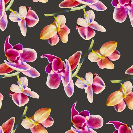 Phalaenopsis orchid. Seamless pattern with watercolor flowers. Hand-drawn illustration.の写真素材