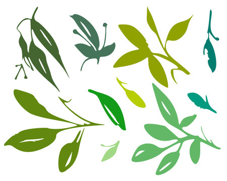A set of leaves isolated on a white background. Hand-drawn illustration. Vector drawing.のイラスト素材