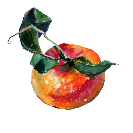 Tangerine with leaves, isolated on a white background. An oil pastel sketch.の写真素材