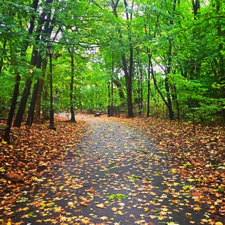 Park in Autumnの写真素材