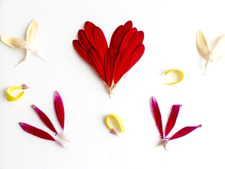 Flower petals art featuring a red heartの写真素材