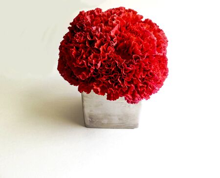 Pink Carnations in a silver vase on white backgroundの写真素材
