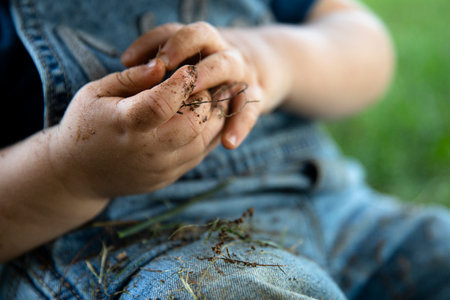 baby toddler hands playing in the dirt and with the grass on a warm summer dayの写真素材
