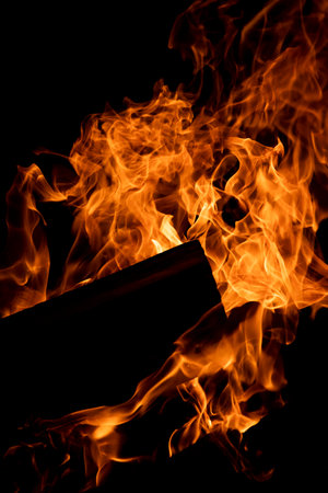 A mesmerizing close-up of a blazing fire, with vibrant flames and glowing embers. The silhouette of...