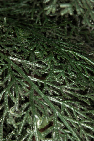 Close up of dust and fuzzies on artificial evergreen plant. The faux plant is dusty and dirty.