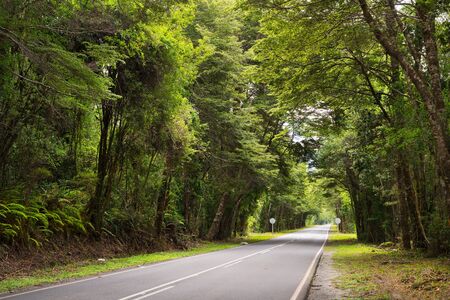 Road at Reserva Nacional LLanquihue, Chileの写真素材