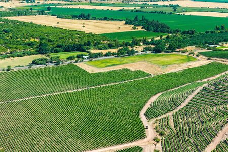 Panoramic view of a vineyard at Colchagua valley, Chileの写真素材