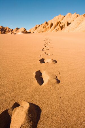 Footprints at Valle de la Muerte (spanish for Death Valley) also known as La Cordillera de la Sal...
