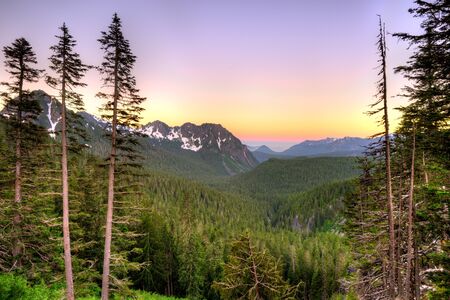 Panoramic view of Mount Rainier National Park, Washington State, USA