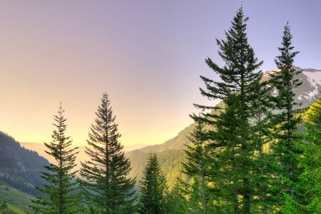 Panoramic view of Mount Rainier National Park, Washington State, USAの写真素材