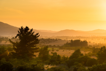 Dawn in the crop fields and farms at Region del Maule in Central Chileの写真素材