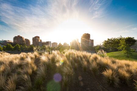 Sunrise behind apartment buildings in the wealthy district of Vitacura, Santiago de Chileの写真素材