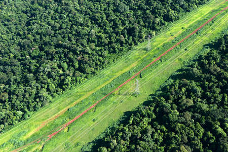 Aerial views of power lines through the jungle in Brazil.の写真素材