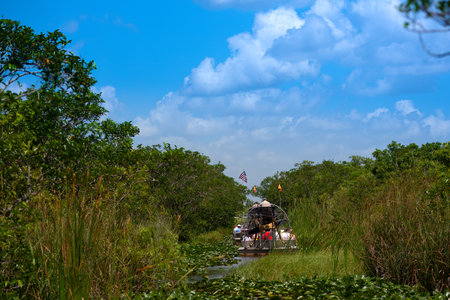 Airboat tour in The Everglades National Park, Florida, United Statesのeditorial素材