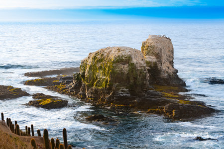 Cliff in Punta de Lobos at Pichilemu, VI Region, Chileの写真素材