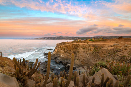 Cliff in Punta de Lobos with the town of Pichilemu in the back, VI Region, Chileの写真素材