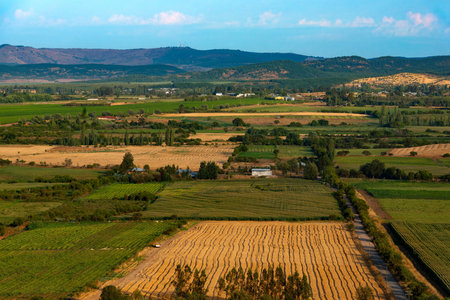 Crop fields and farms at Region del Maule in southern Chileの写真素材