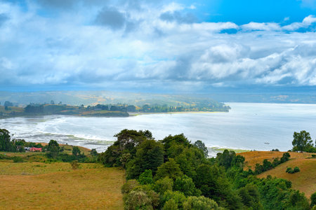 Meadows at Peninsula of Rilan, Chiloe Island, Chileの写真素材