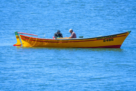 Queule, Araucania Region, Chile - Two fishermen are engaging in their trade aboard a brightly colored yellow boat in the tranquil coastal waters of Queule, a town in southern Chile.のeditorial素材