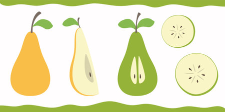 Illustration of a Set of Pears and Sliced Pearのイラスト素材
