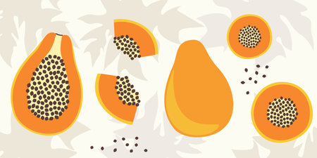 Papaya flat design vector illustration.Composition of a whole papaya and its parts in a simple style.のイラスト素材