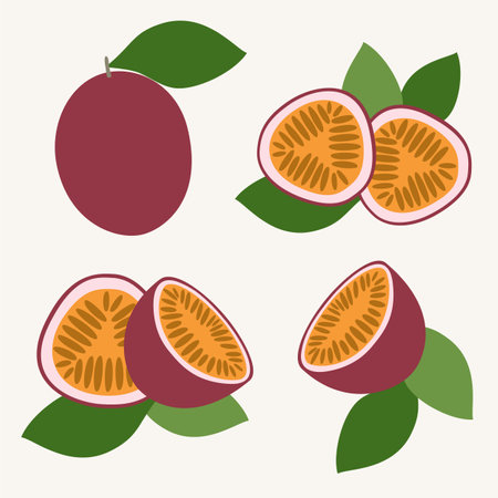 Passion fruit flat design vector illustration. Icon set of passion fruit in simple cartoon style.のイラスト素材