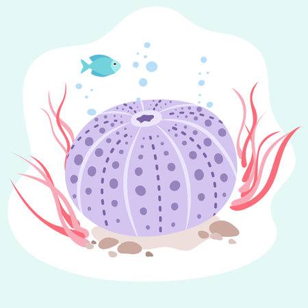 Ocean object in flat design isolated on white background. Colorful plants in cartoon style. Simple vector illustration.のイラスト素材