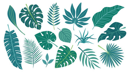 Set of green exotic leaves. Tropical leaves in simple flat design isolated on white background. Vector illustration.のイラスト素材