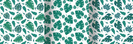 Set of tropical leaves and flowers. Flat design. Exotic plants in simple style isolated on white background. Vector stock illustration.のイラスト素材