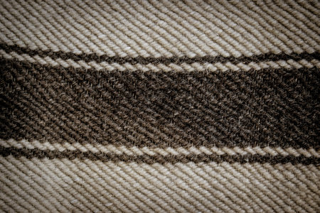 Color picture of a black and white wool blanket