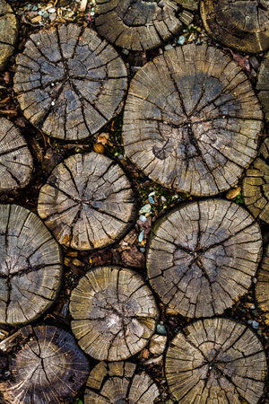Color picture of wooden round tiled pathway, close-up