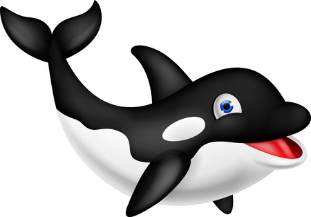 Funny orca cartoonのイラスト素材