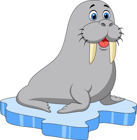 Cute walrus cartoon on iceのイラスト素材