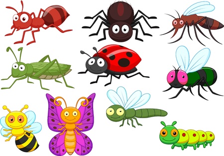 Insect cartoon collection setのイラスト素材