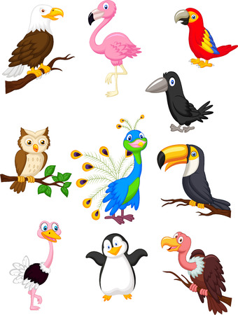 Bird cartoon collection のイラスト素材