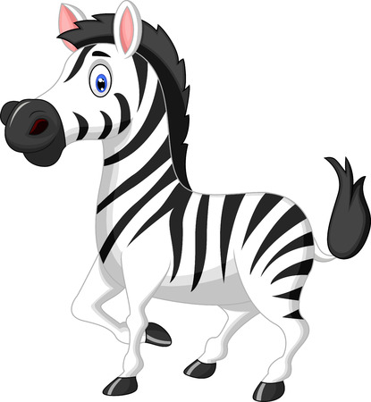 Zebra cartoon のイラスト素材