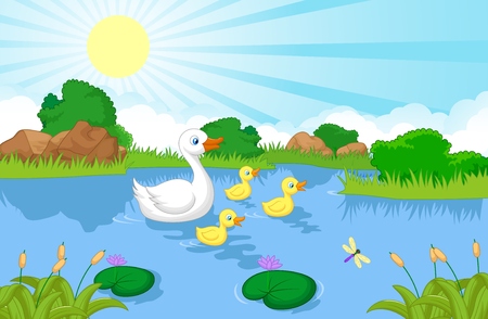 Duck family cartoon swimming のイラスト素材