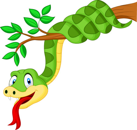 Cartoon green snake on branch のイラスト素材