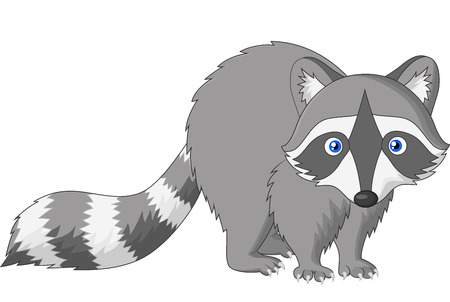 Cute raccoon cartoonのイラスト素材